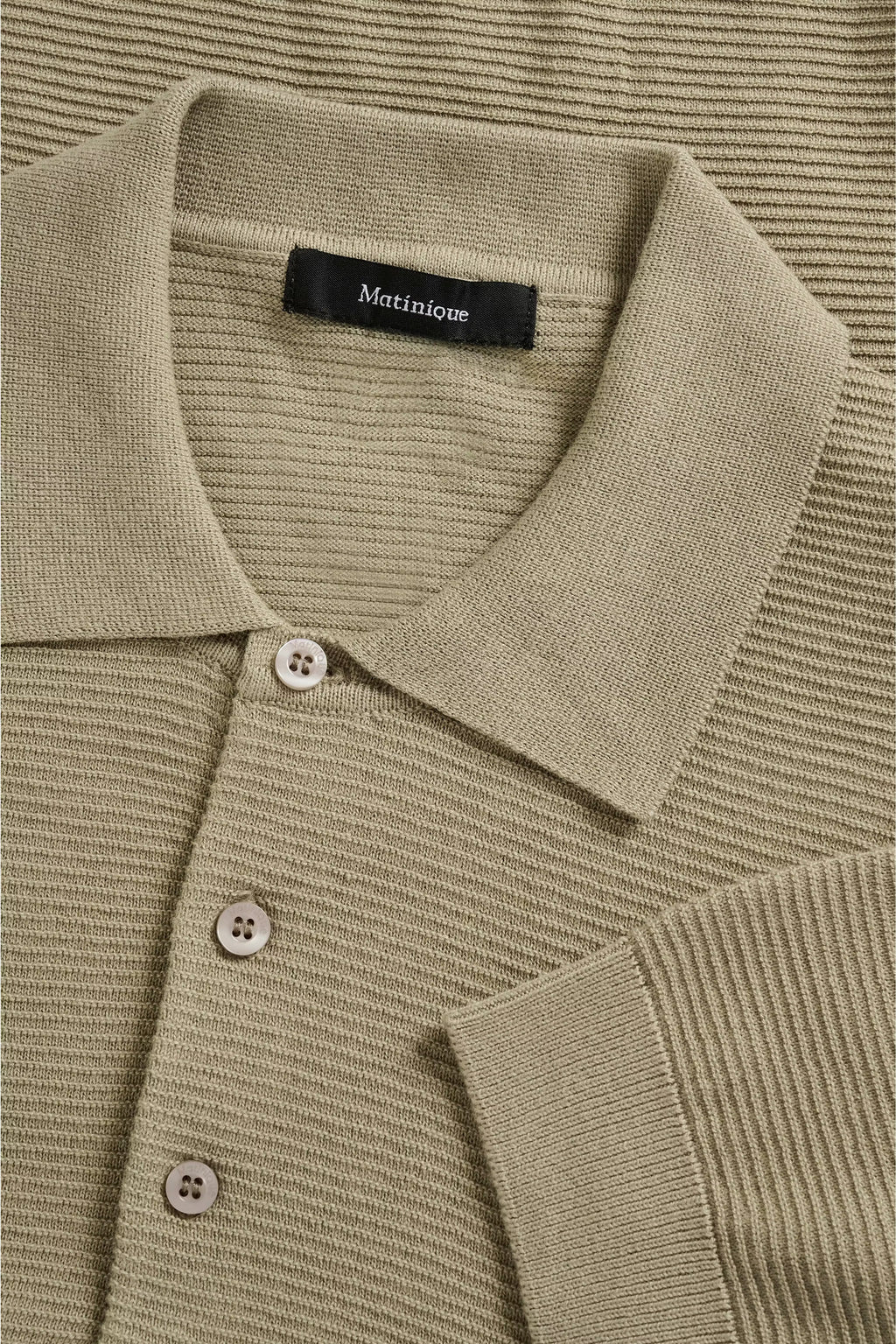 Polo MApolo
