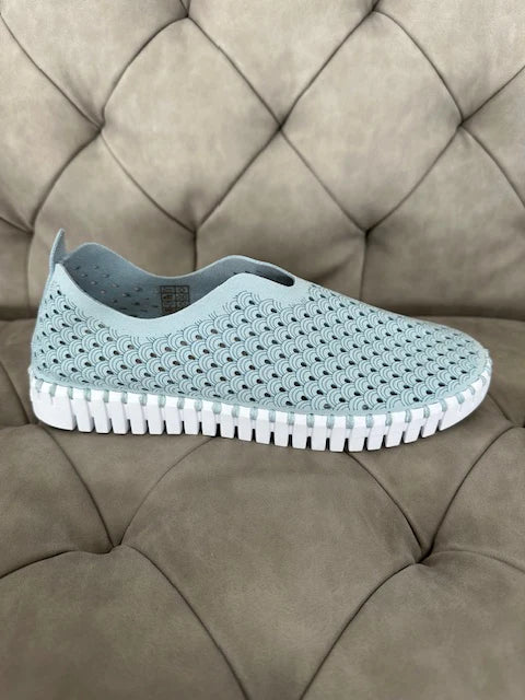 Chaussures Tulip