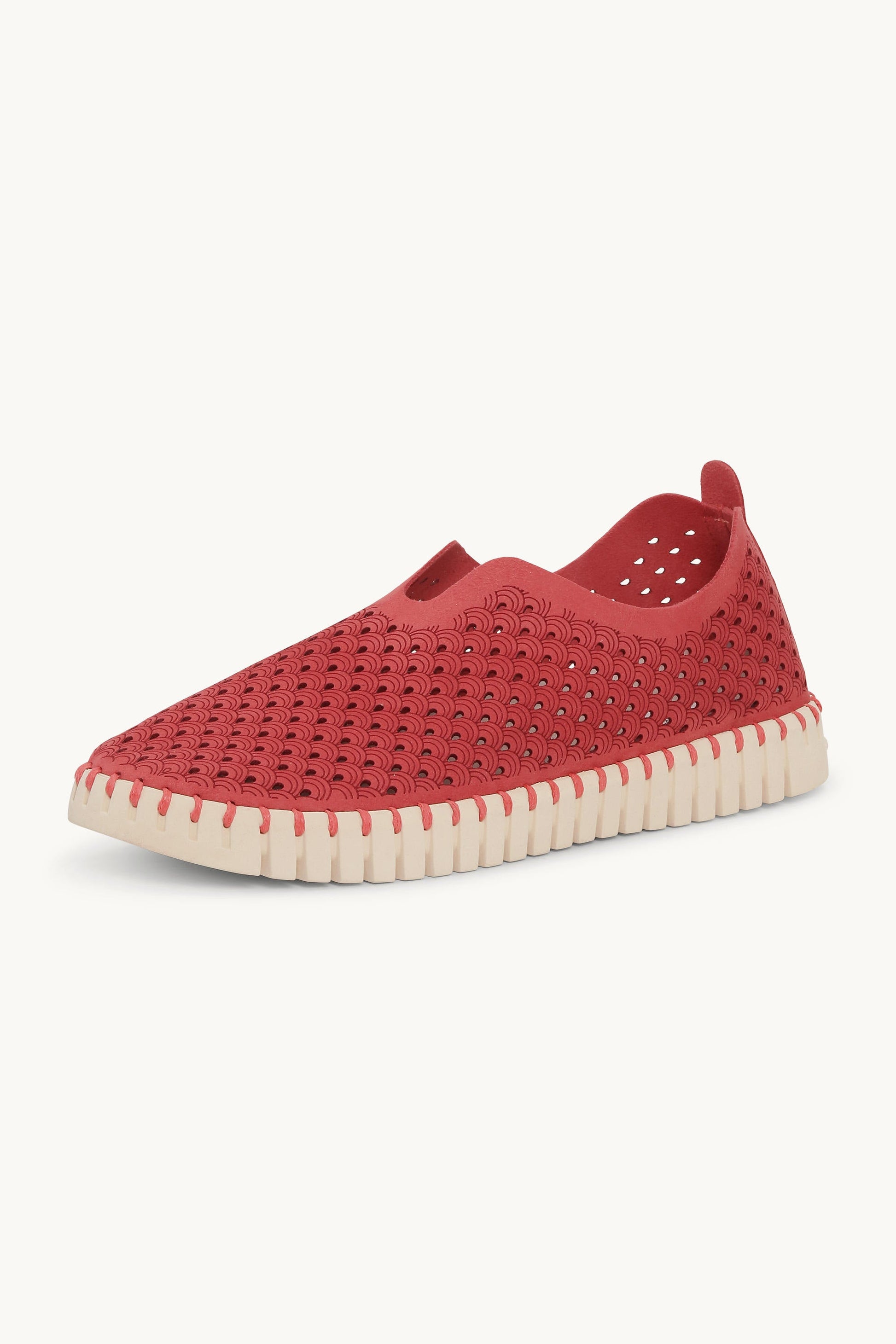 Chaussures Tulip