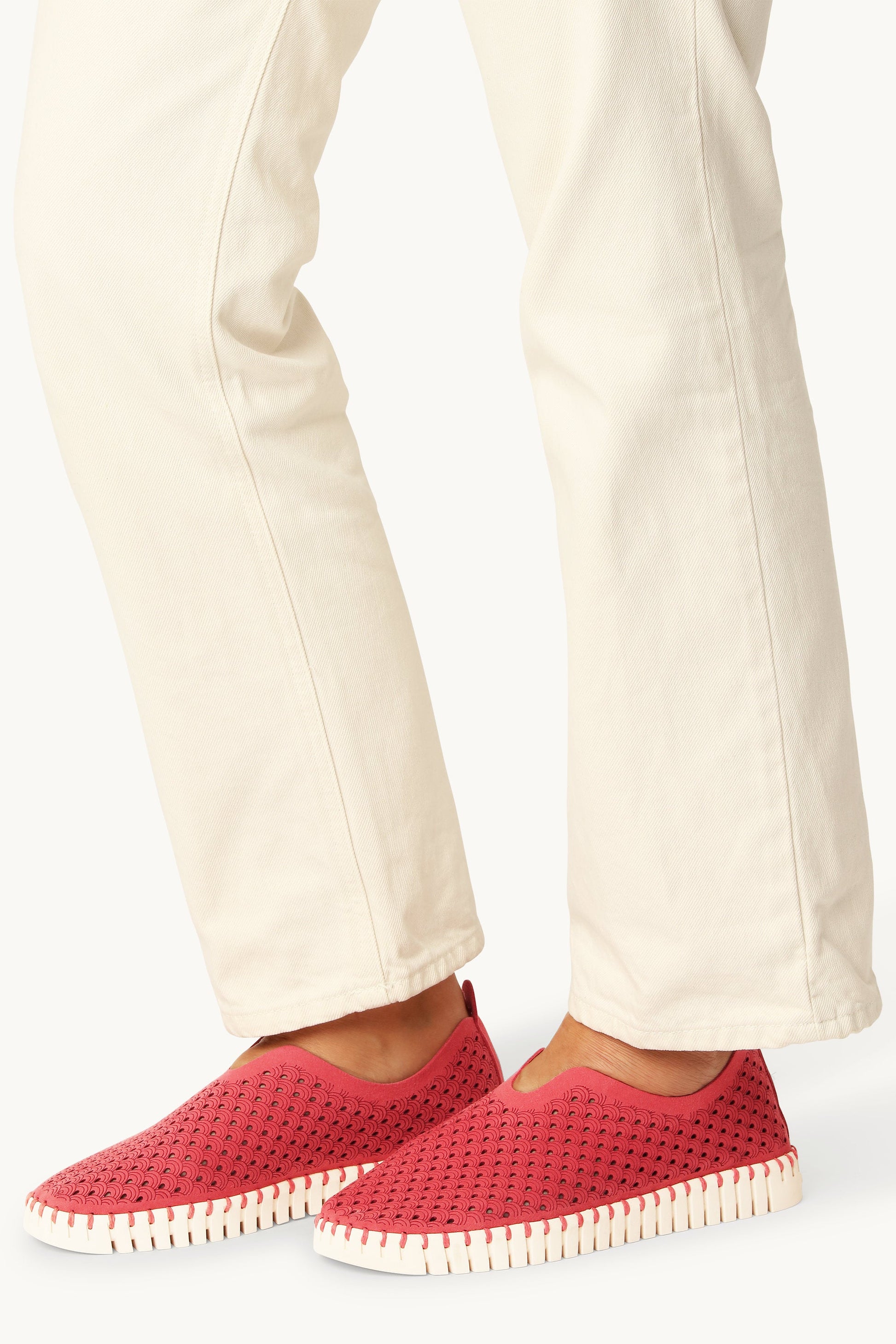 Chaussures Tulip