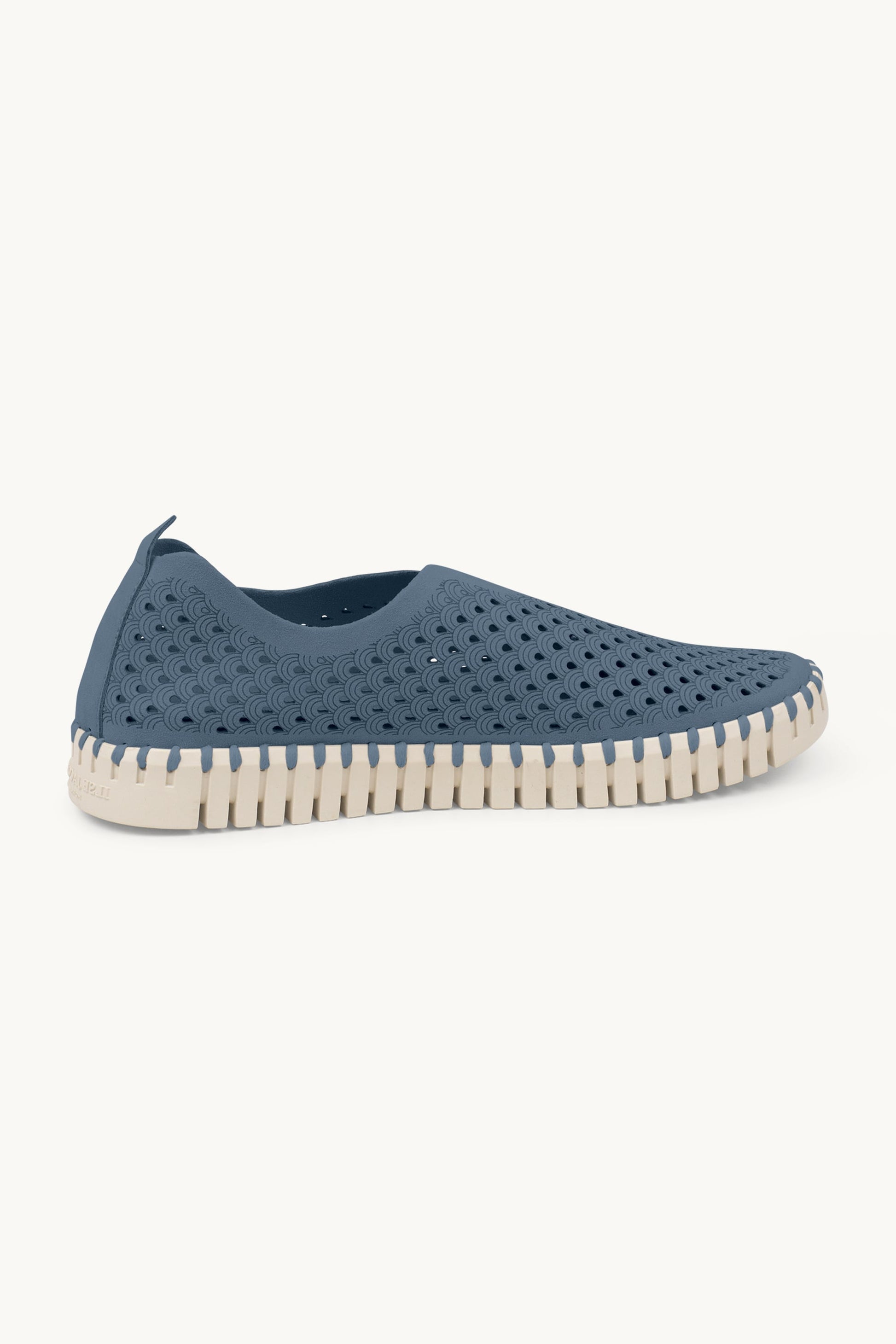 Chaussures Tulip