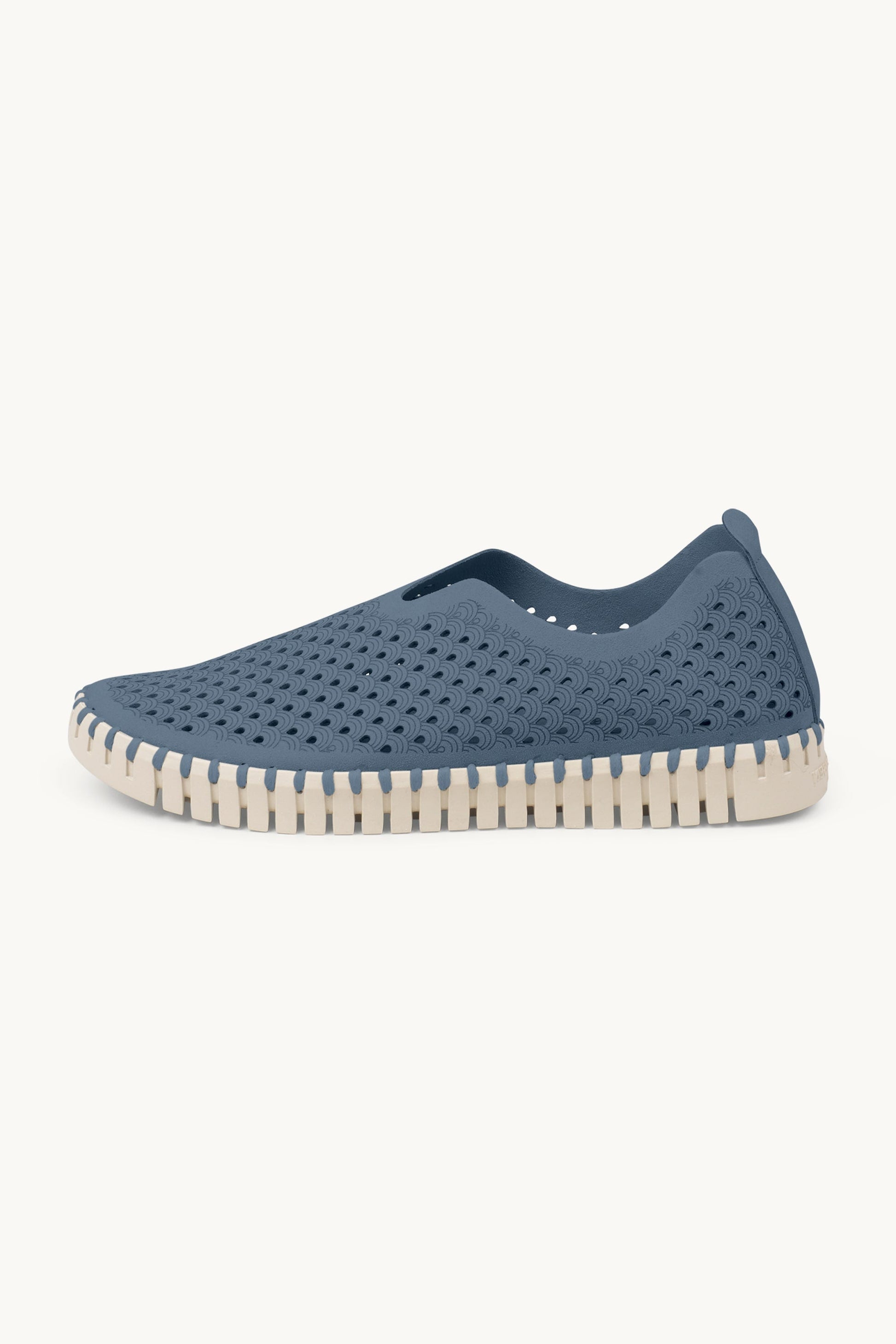 Chaussures Tulip